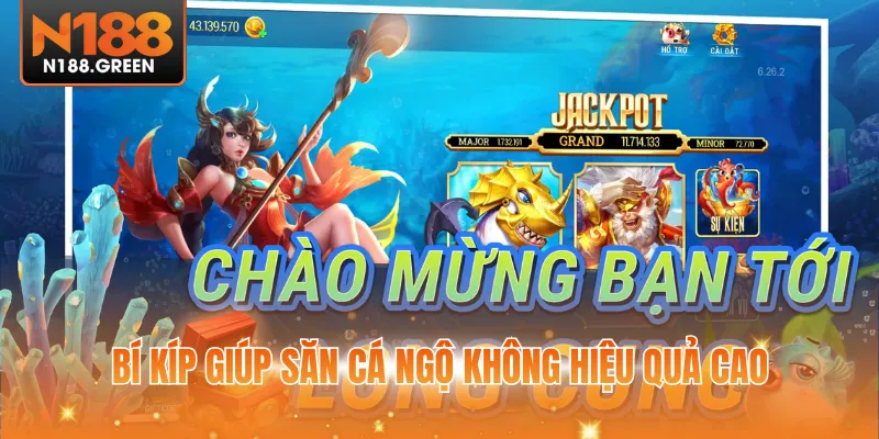 Bí kíp giúp săn cá ngộ không hiệu quả cao